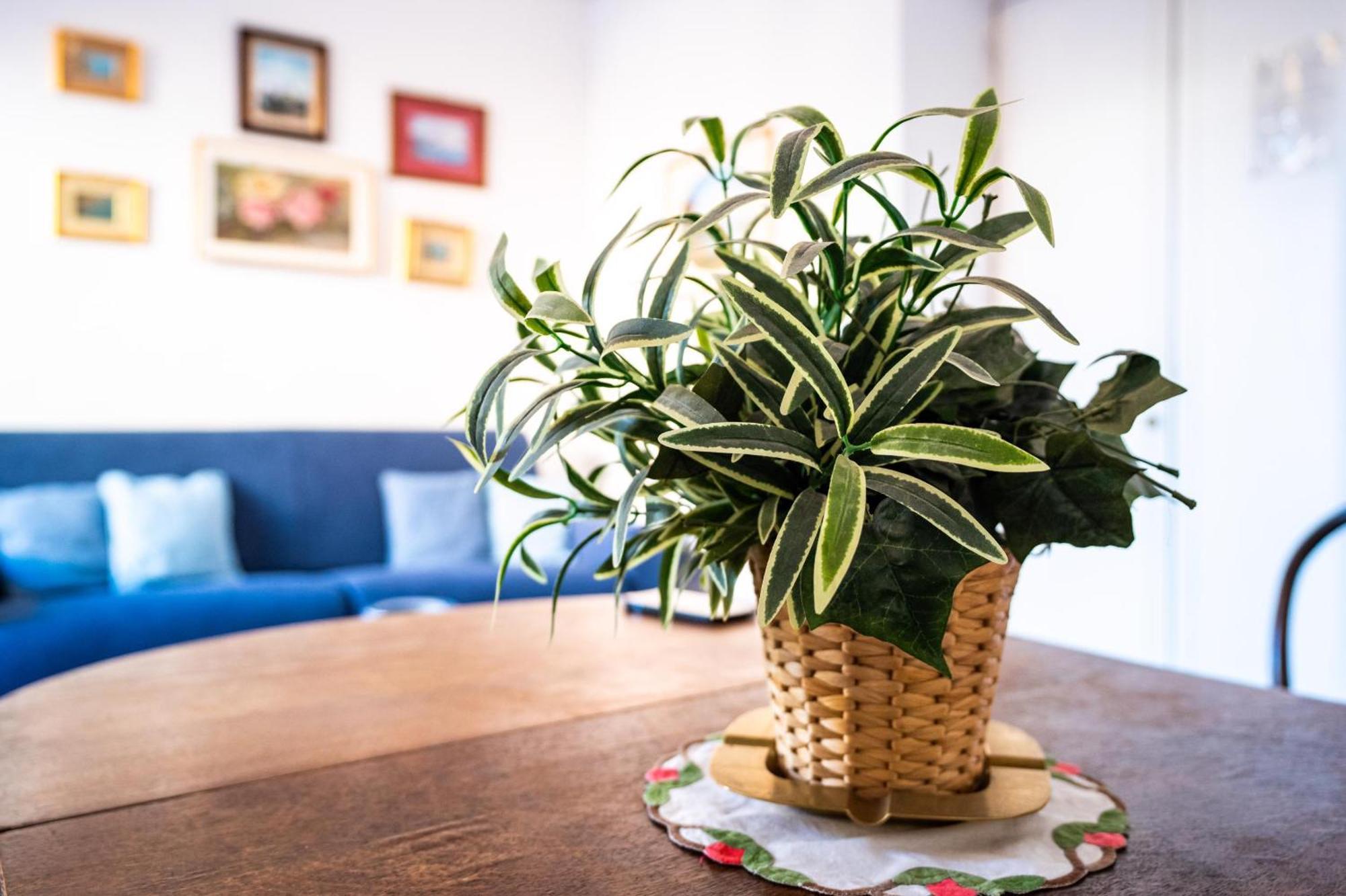Apartament Stefania Flat - Amalfi center Zewnętrze zdjęcie